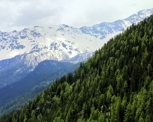 Preview wallpaper mountains, landscape, forest, snow, nature