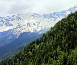 Preview wallpaper mountains, landscape, forest, snow, nature