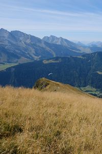 Preview wallpaper mountains, landscape, grass, relief