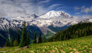 Preview wallpaper mountains, landscape, mt rainier, washington, grass, hdr