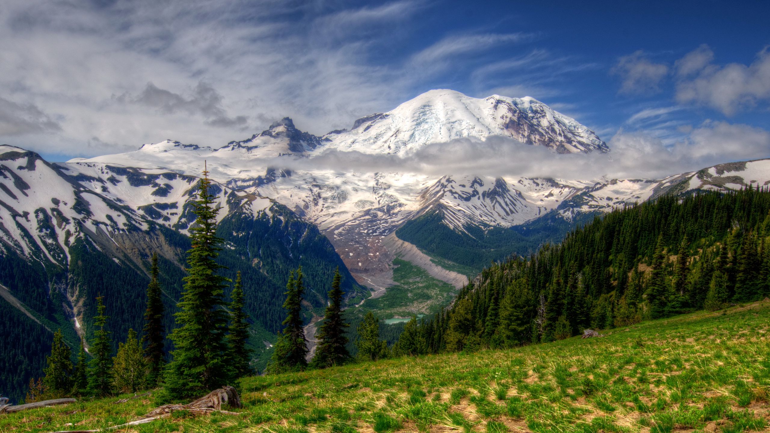 Download wallpaper 2560x1440 mountains, landscape, mt rainier ...