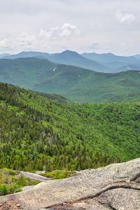 Preview wallpaper mountains, landscape, nature, forest, trees, view