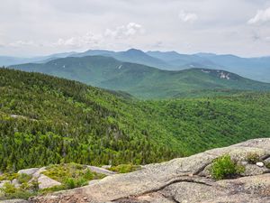 Preview wallpaper mountains, landscape, nature, forest, trees, view