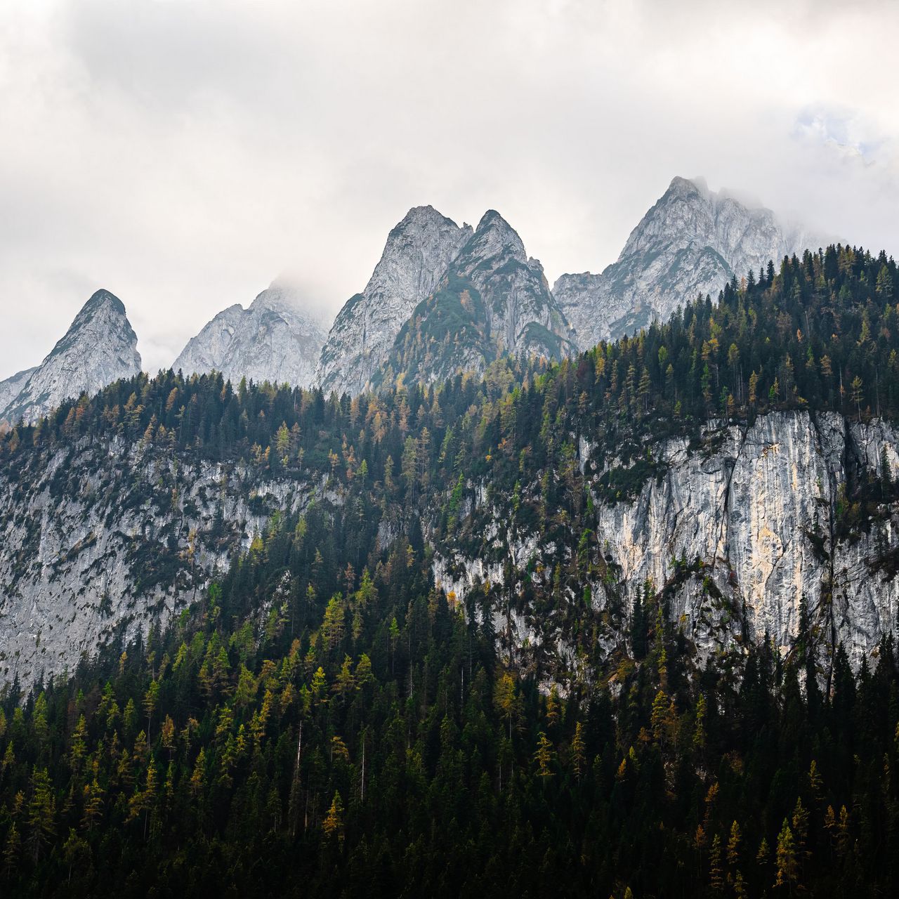 1280x1280 Wallpaper mountains, landscape, nature, trees, forest