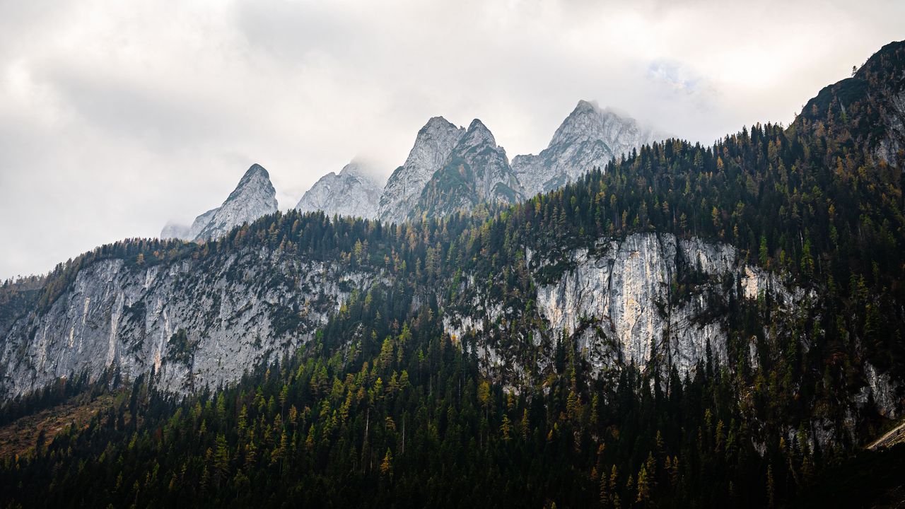 Wallpaper mountains, landscape, nature, trees, forest