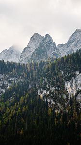 Preview wallpaper mountains, landscape, nature, trees, forest