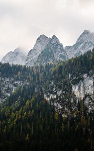 Preview wallpaper mountains, landscape, nature, trees, forest