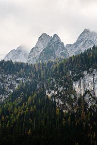 Preview wallpaper mountains, landscape, nature, trees, forest