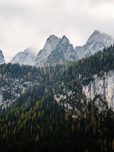 Preview wallpaper mountains, landscape, nature, trees, forest