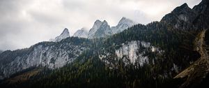 Preview wallpaper mountains, landscape, nature, trees, forest