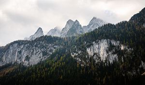 Preview wallpaper mountains, landscape, nature, trees, forest
