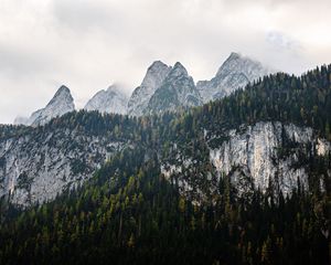 Preview wallpaper mountains, landscape, nature, trees, forest