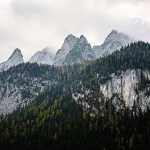 Preview wallpaper mountains, landscape, nature, trees, forest