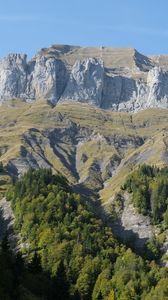 Preview wallpaper mountains, landscape, slope, relief, trees, nature