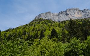 Preview wallpaper mountains, landscape, slope, trees