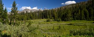 Preview wallpaper mountains, landscape, trees, valley, grass