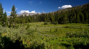 Preview wallpaper mountains, landscape, trees, valley, grass