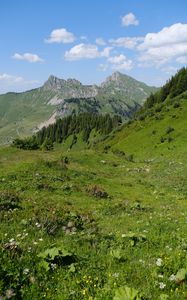 Preview wallpaper mountains, landscape, trees, valley, grass, nature