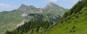 Preview wallpaper mountains, landscape, trees, valley, grass, nature