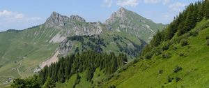 Preview wallpaper mountains, landscape, trees, valley, grass, nature