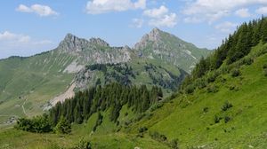 Preview wallpaper mountains, landscape, trees, valley, grass, nature