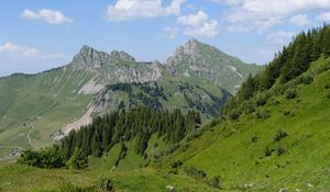 Preview wallpaper mountains, landscape, trees, valley, grass, nature