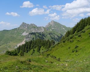 Preview wallpaper mountains, landscape, trees, valley, grass, nature