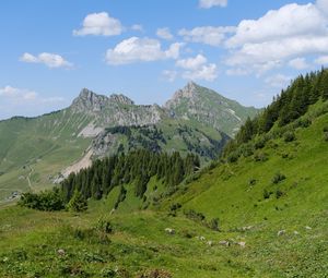 Preview wallpaper mountains, landscape, trees, valley, grass, nature