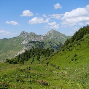 Preview wallpaper mountains, landscape, trees, valley, grass, nature