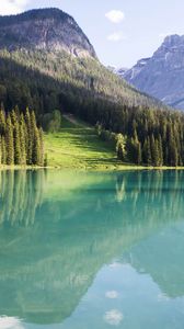 Preview wallpaper mountains, landscape, trees, lake peyto