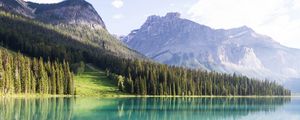 Preview wallpaper mountains, landscape, trees, lake peyto