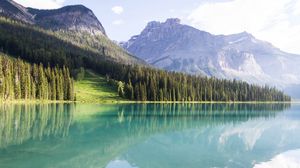 Preview wallpaper mountains, landscape, trees, lake peyto