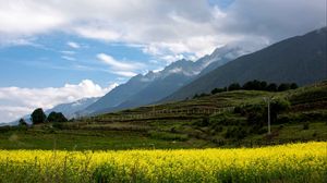 Preview wallpaper mountains, landscape, valley, flowers