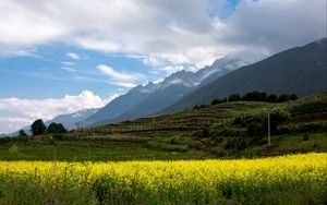 Preview wallpaper mountains, landscape, valley, flowers