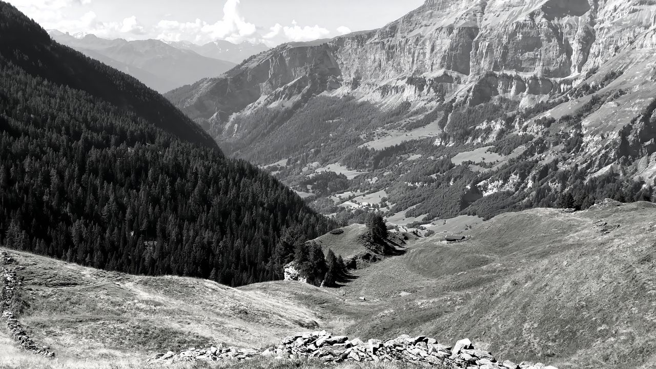 Wallpaper mountains, landscape, valley, trees, forest, bw