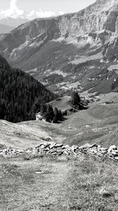 Preview wallpaper mountains, landscape, valley, trees, forest, bw