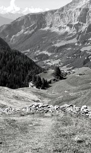 Preview wallpaper mountains, landscape, valley, trees, forest, bw