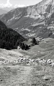 Preview wallpaper mountains, landscape, valley, trees, forest, bw