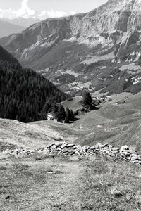 Preview wallpaper mountains, landscape, valley, trees, forest, bw