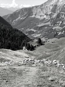 Preview wallpaper mountains, landscape, valley, trees, forest, bw