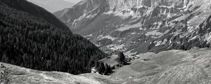 Preview wallpaper mountains, landscape, valley, trees, forest, bw