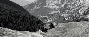 Preview wallpaper mountains, landscape, valley, trees, forest, bw