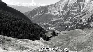 Preview wallpaper mountains, landscape, valley, trees, forest, bw