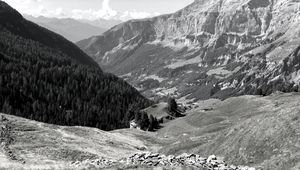 Preview wallpaper mountains, landscape, valley, trees, forest, bw