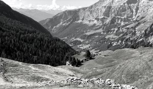 Preview wallpaper mountains, landscape, valley, trees, forest, bw