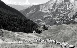 Preview wallpaper mountains, landscape, valley, trees, forest, bw