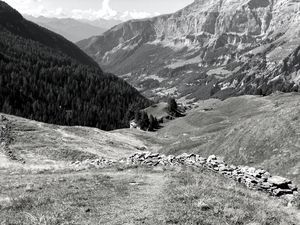 Preview wallpaper mountains, landscape, valley, trees, forest, bw