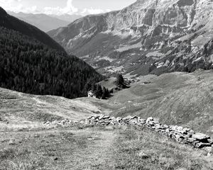 Preview wallpaper mountains, landscape, valley, trees, forest, bw