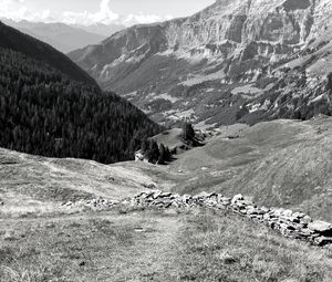 Preview wallpaper mountains, landscape, valley, trees, forest, bw