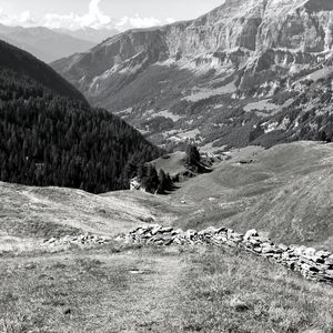 Preview wallpaper mountains, landscape, valley, trees, forest, bw